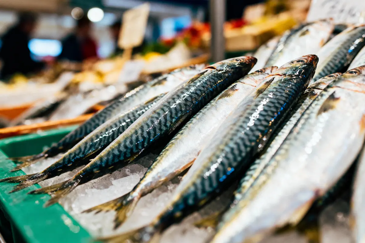 Poissons frais argentés sur lit de glace dans un marché, éclairage lumineux, étiquette floue en arrière-plan.
