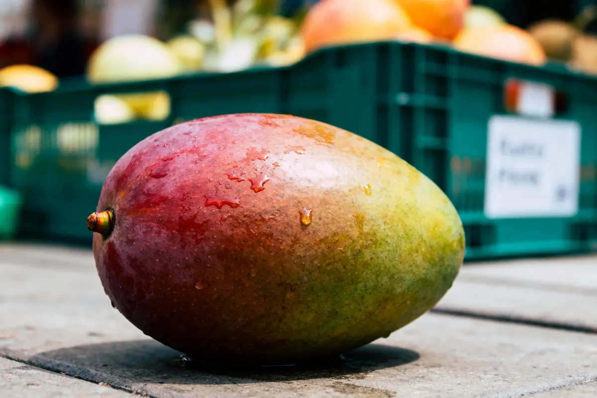 Mangue mûre et colorée au sol devant une caisse de fruits au marché.