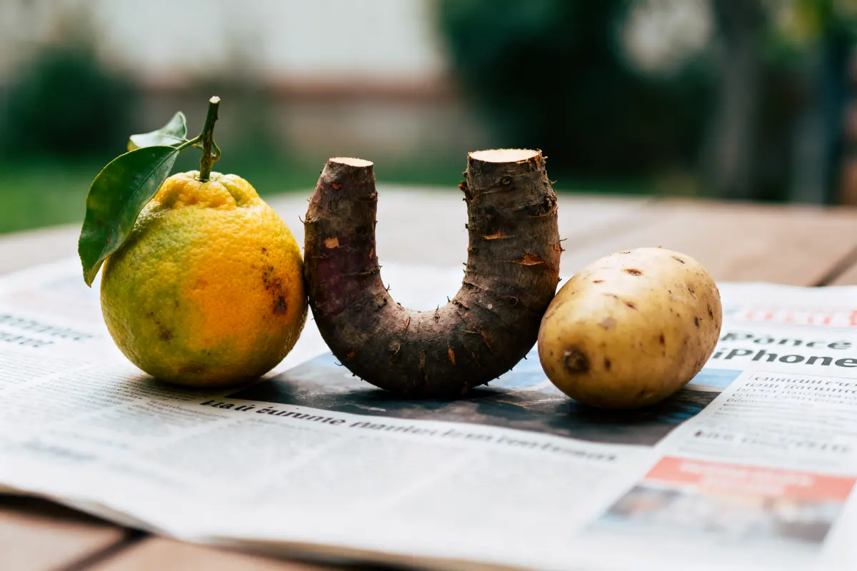 Citron, racine en U, pomme de terre sur journal, posés sur une table en bois.
