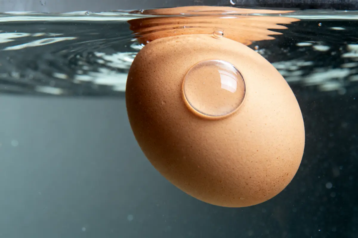 Un œuf brun flotte dans l'eau avec une bulle d'air sur sa surface.