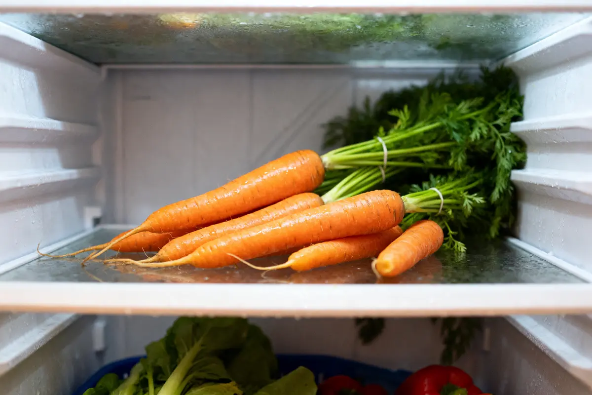 Carottes fraîches rangées dans un réfrigérateur pour apprendre comment conserver des carottes efficacement