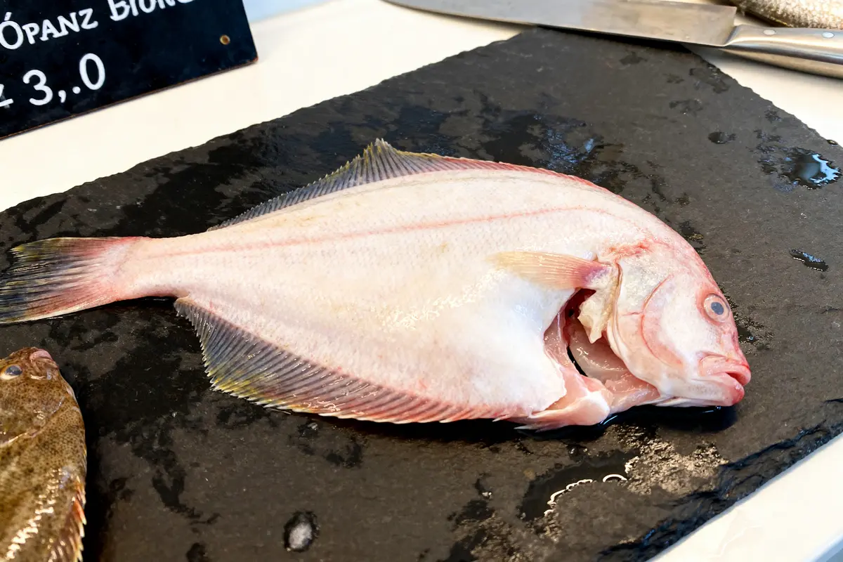Merlan de bœuf : recette, cuisson et astuces pour réussir